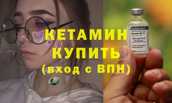 трава Коряжма