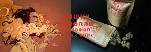 трава Коряжма