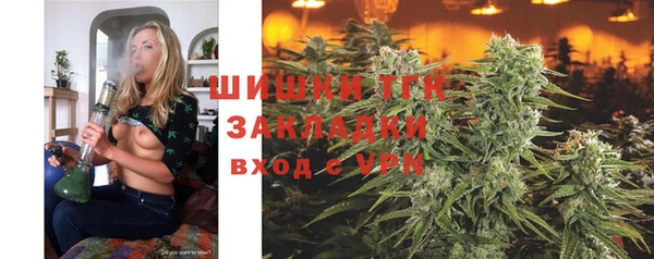 трава Коряжма