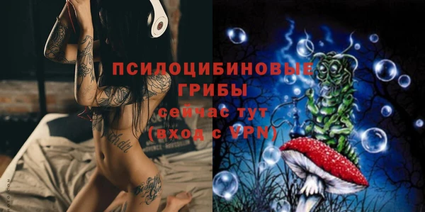 трава Коряжма