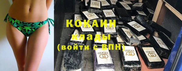 трава Коряжма