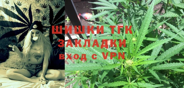 трава Коряжма