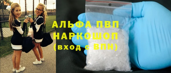 трава Коряжма