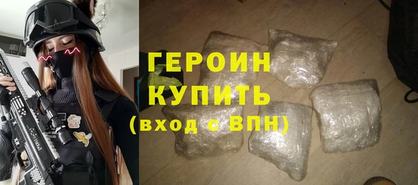трава Коряжма