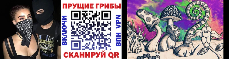 Псилоцибиновые грибы мухоморы  Купить закладки  Артёмовский 